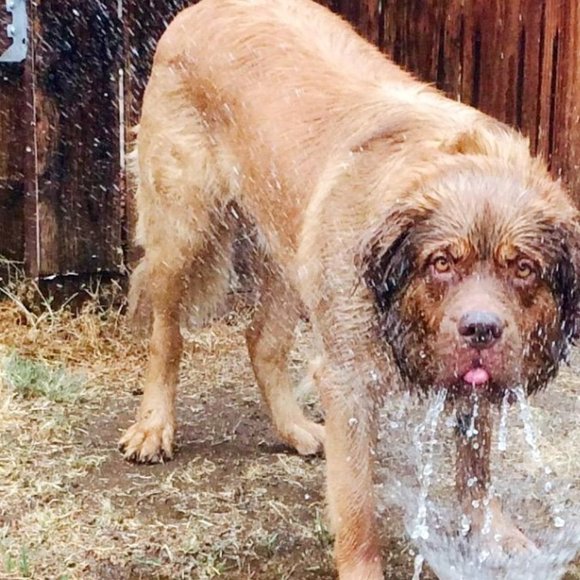 Meet your Posher, Julia - Picture 9 of 11